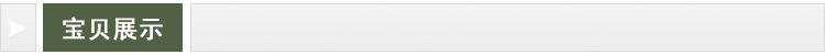 宝贝展示标题条211