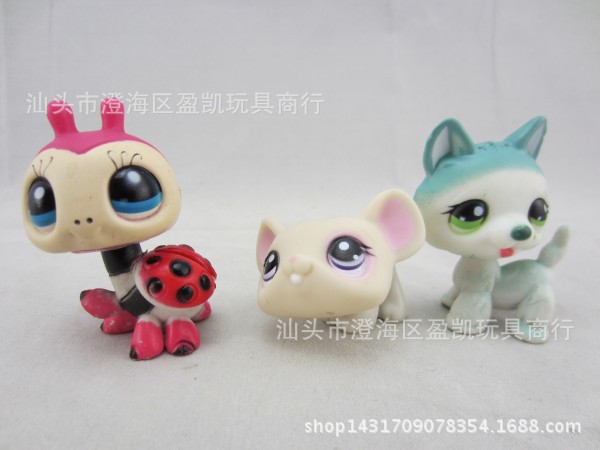 T2T.spXAlXXXXXXXXX-117966877