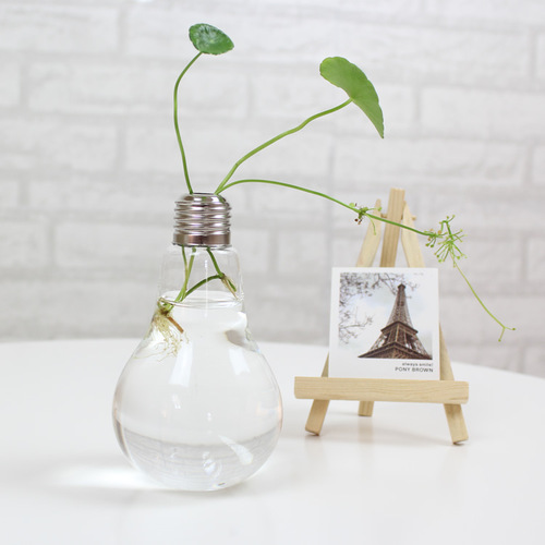Creative hydroponic glass vase, flower arrangement hanging vase, pothos, copper money grass, desktop decoration glass crafts