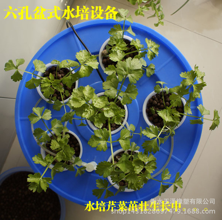 TB2X8Z2bFXXXXcyXXXXXXXXXXXX-30