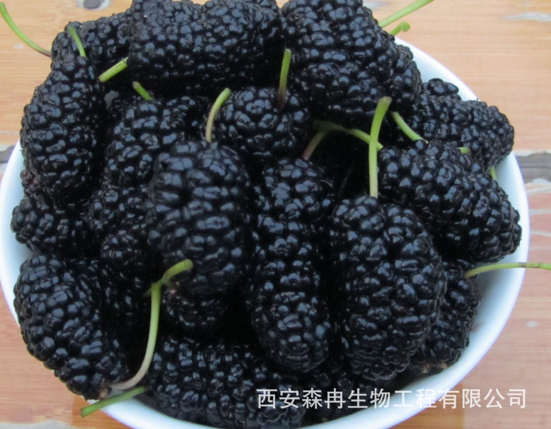 桑葚提取物森冉生物-盖德化工网