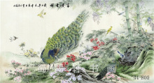 44-800字画 国画 花鸟画 孔雀牡丹 多尺寸 高仿真画芯批发 厂家