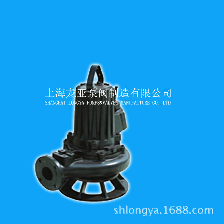 销售100WQK100-25-11立式脏水排污泵 上海自动搅匀排污泵