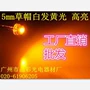 发光高品质高度黄光灯珠