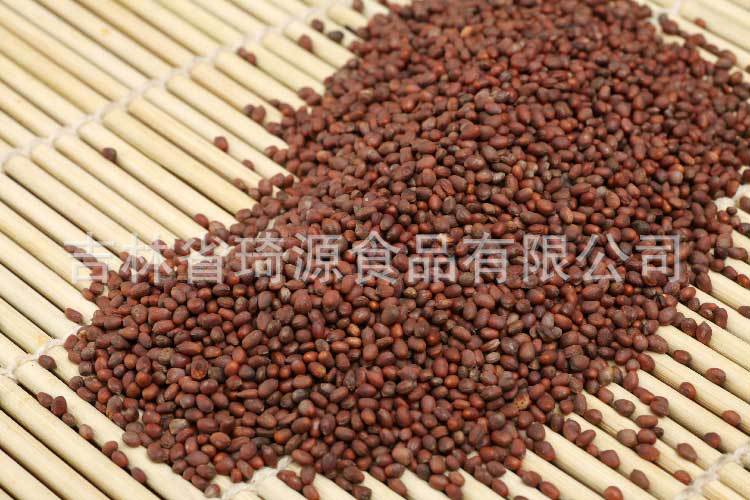 Low Temperature Baked Radish Seeds Bulk Da Luo Zi Ready to Eat Herbal Snack specifications
