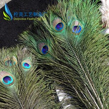 厂家销售孔雀羽毛100-110cm孔雀毛  孔雀羽毛 饰品 插画装饰