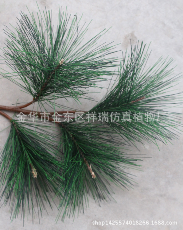 XRB-039大松针四头枝4叶38厘米叶