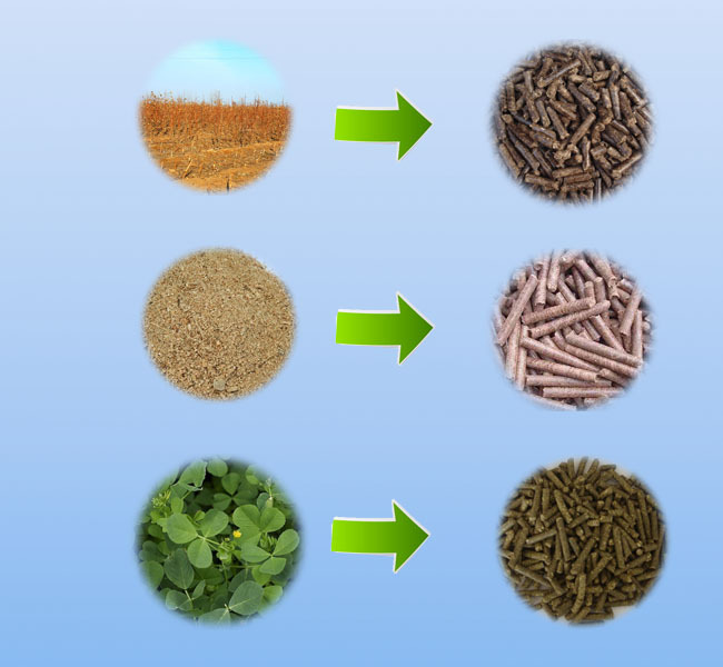 2110126958_2044683355