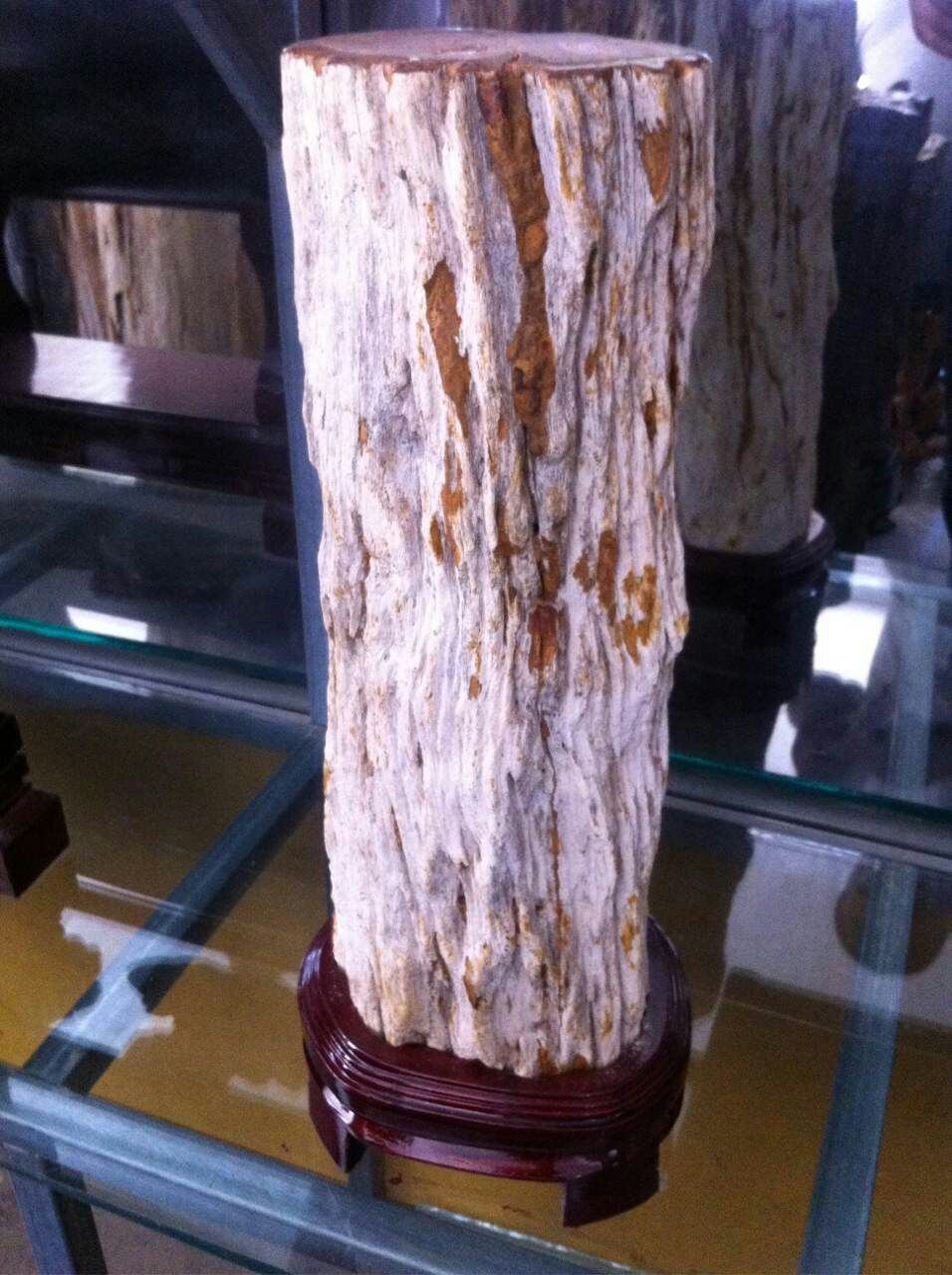 水晶硅化木,最珍贵的木化石,硅化木原石图片_大山谷图库