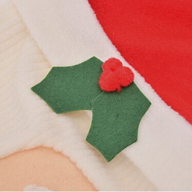 Christmas Vacation Simple Style Santa Claus Bathing display picture 3