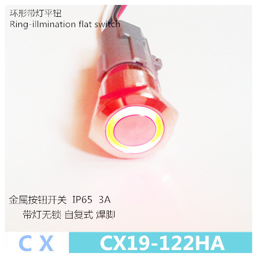 开孔19mm金属按钮开关带灯无锁 圈灯平头 红色 LED灯