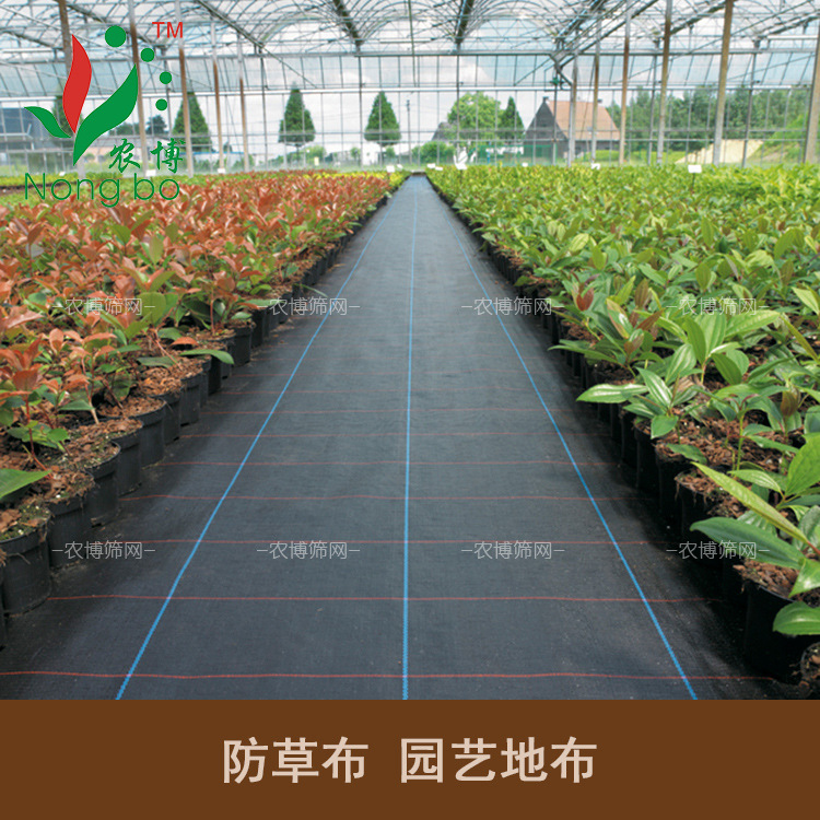 抗老化90克葡萄火龙果果园园艺地布防草除草布抑草布黑色地布