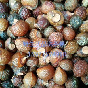 �����o���� �A���� ϴ�ֹ� ������