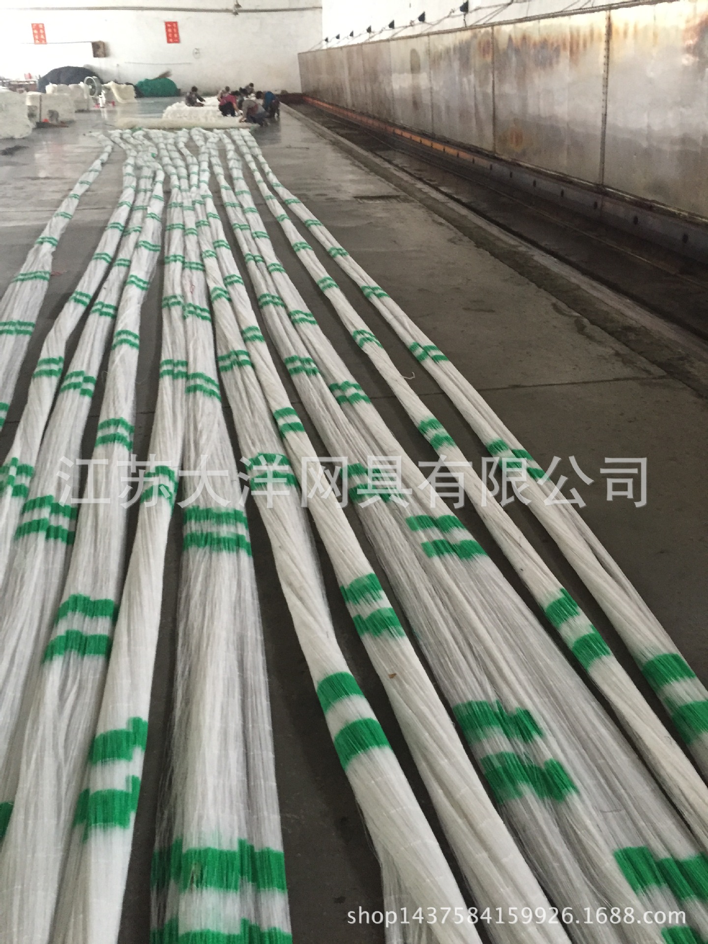 聚乙烯黄瓜网爬藤园艺网吊瓜网苦瓜网大洋牌网具厂家供应