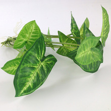 �ӹ�����Gֲ���� �S�����l�߷����k���ҾGֲ �҃Ȳ廨С�Gֲ