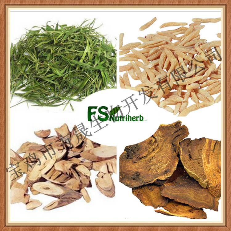 2056545394_1267102660[1]