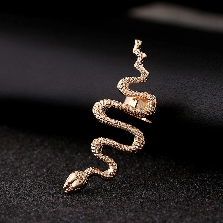 Fashion Exaggerated Snake-shaped Earrings display picture 12