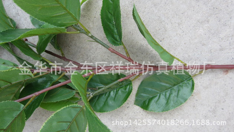 XRB-096梨叶五叉支40叶65CM杆子1