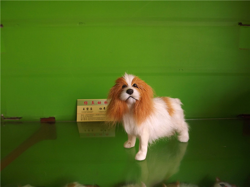 毛仿真動物皮質工藝品家庭擺件可卡標本小狗名犬