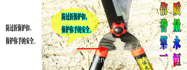 1938519160_1269862085