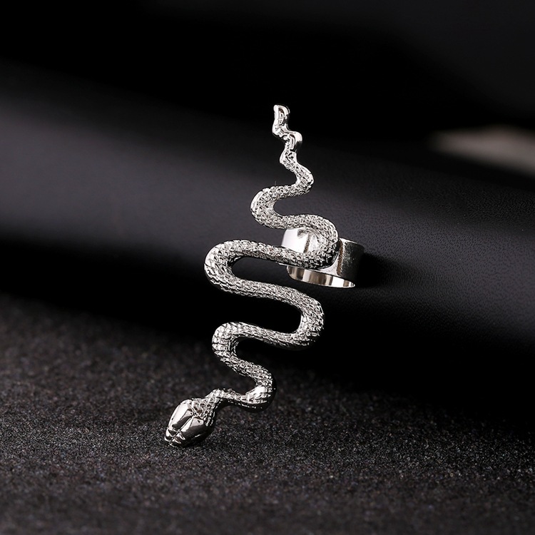 Pendientes Exagerados En Forma De Serpiente De Moda display picture 11