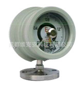 化工行业专用隔爆型防爆压力报警器WKA  全本安型隔膜