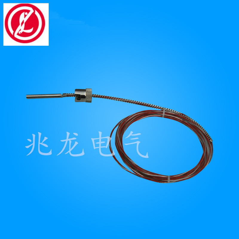 厂家WZPT-02四氟热电阻 探头式热电阻 支持非标热电阻