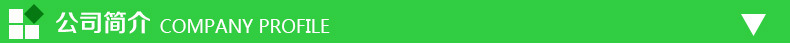 公司简介
