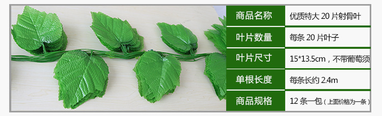 750葡萄葉_05
