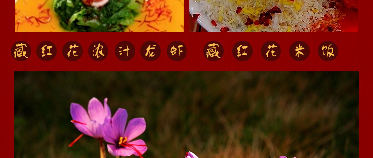 藏红花2_01_14