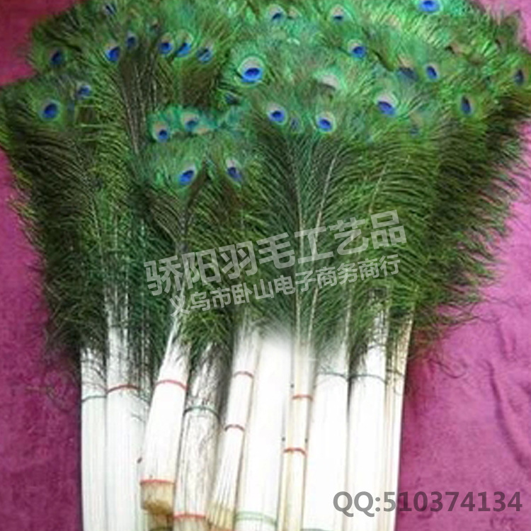Direct sales of natural 80-90CM peacock feather peacock feather…