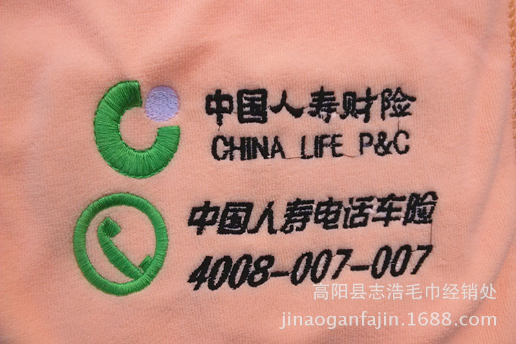 中國人壽財險_副本