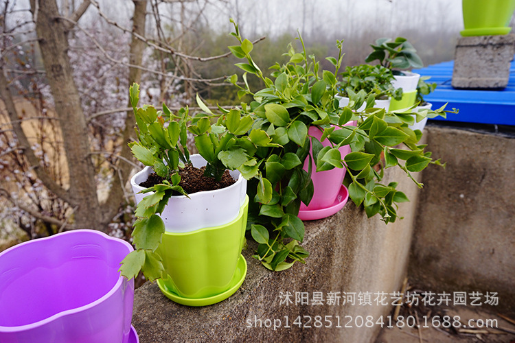 TB278TRcXXXXXbFXXXXXXXXXXXX-17