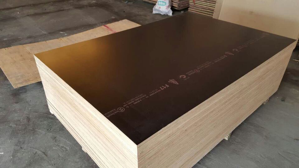 BC6EE5052DCA2CC016E2E99E358F81