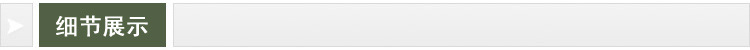 细节展示标题条211