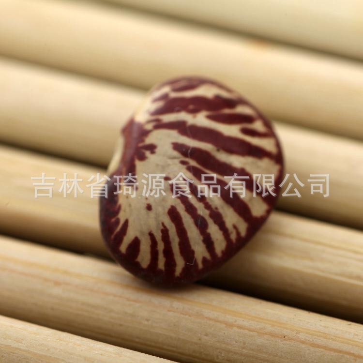 Low Temperature Roasted Cooked Kidney Beans Wholesale Five Grain Soy Milk Ingredient key features