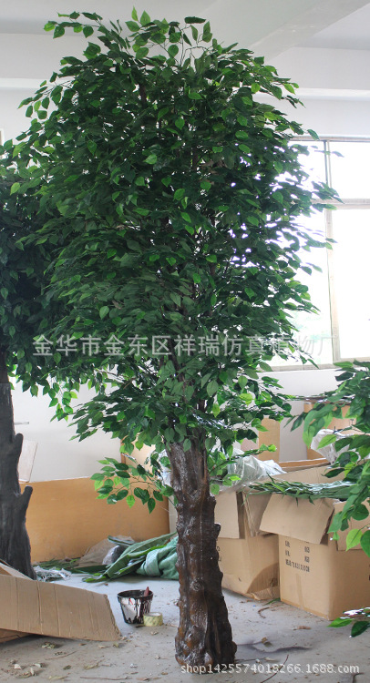 XRS-108特形绿榕树5040叶270厘米