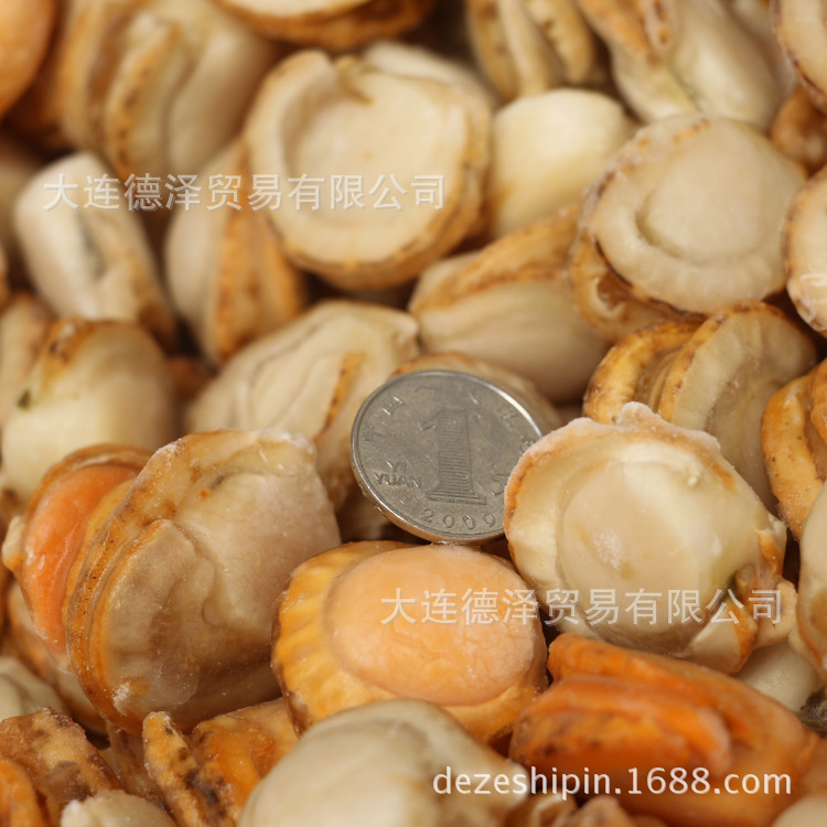 大连冻煮虾夷扇贝夏邑贝10kg冰冻海鲜餐饮批发