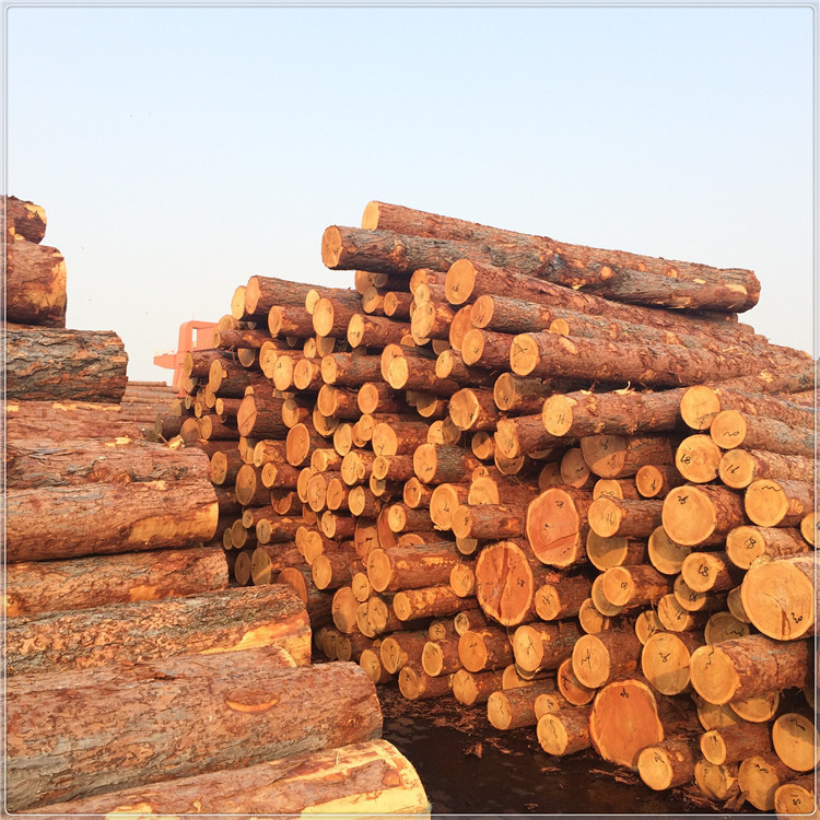 c519f03039f9e89d9bf55256cf8a41