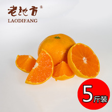 黄岩桔子价格_最新黄岩桔子价格\/批发报价_黄