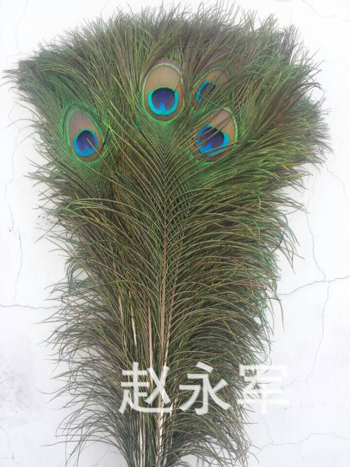 QQ图片20150416161342