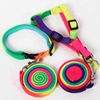 Wholesale Pets Seven Colorful Round Better Back Small Dog Rainbow Break -Belmia Tape Tip