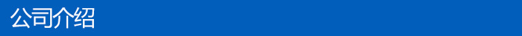 公司介绍