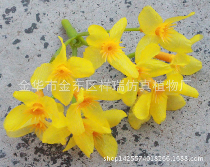 12头连翘花黄色