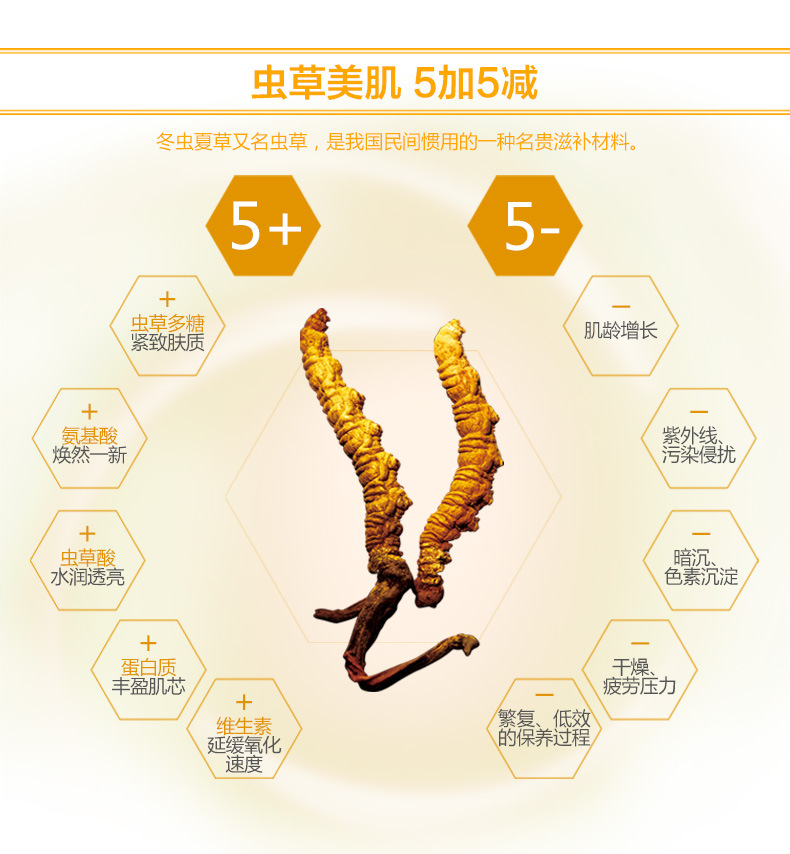 虫草三件套_07