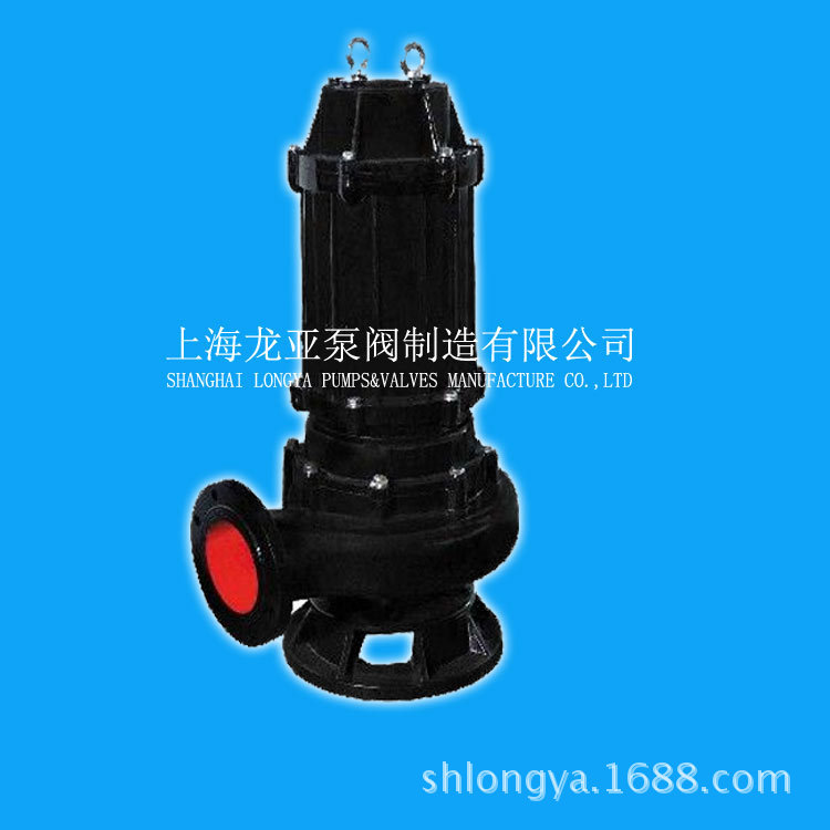 出售WQ300-600-20-55耦合式清淤排污泵 石材污水泵