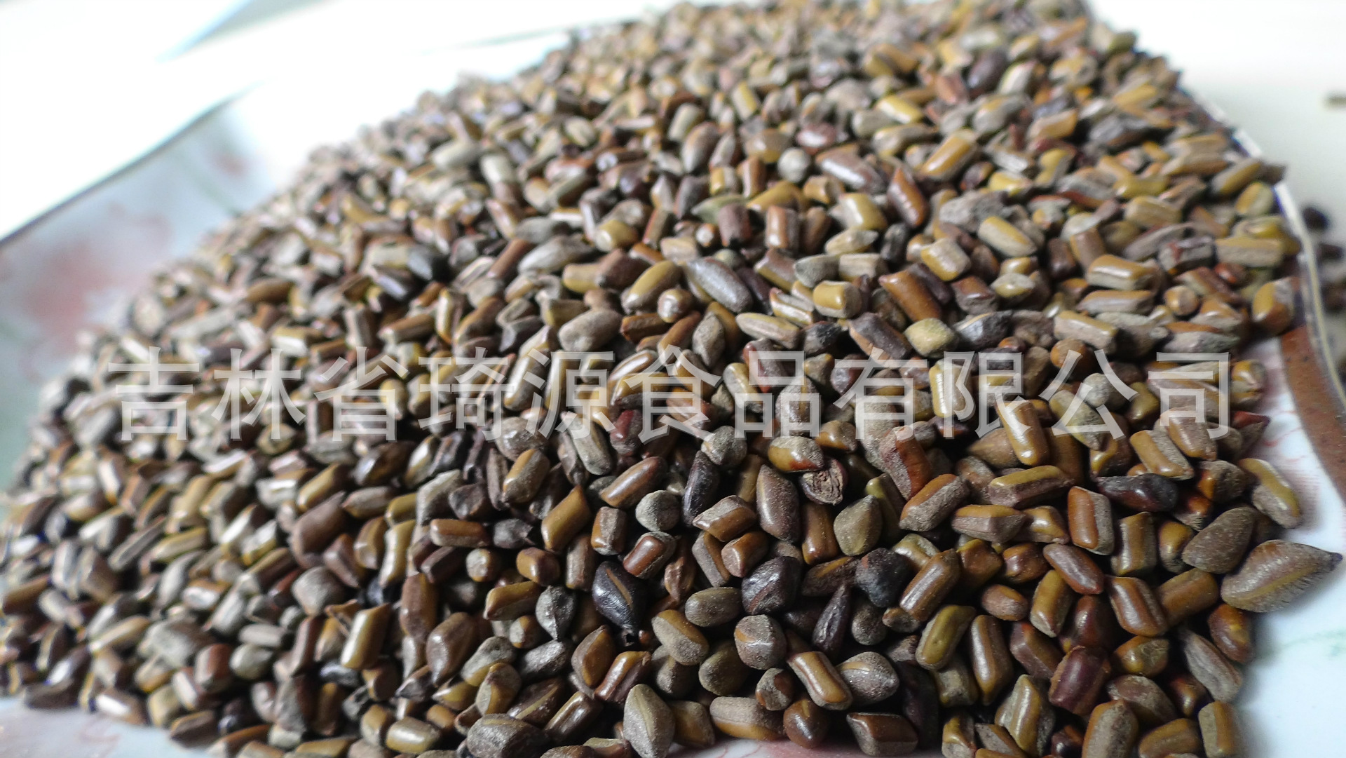 Dried Cassia Seed Jue Ming Zi Low Temperature Baked 500g Loose Herbal Botanicals overview