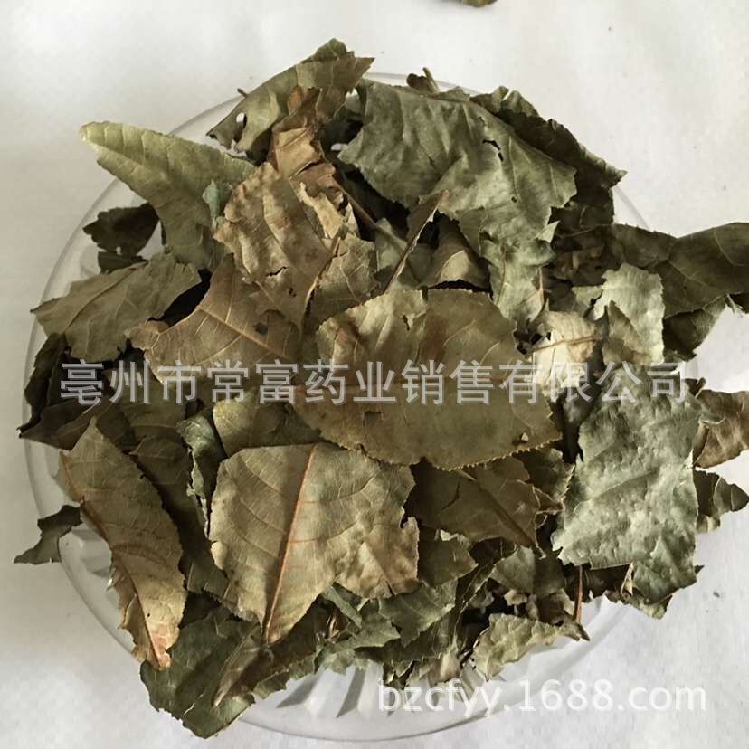 Cyclocarya Pilius Qing Qian Liu Whole Leaf Tea 500g Fujian Origin quality and texture