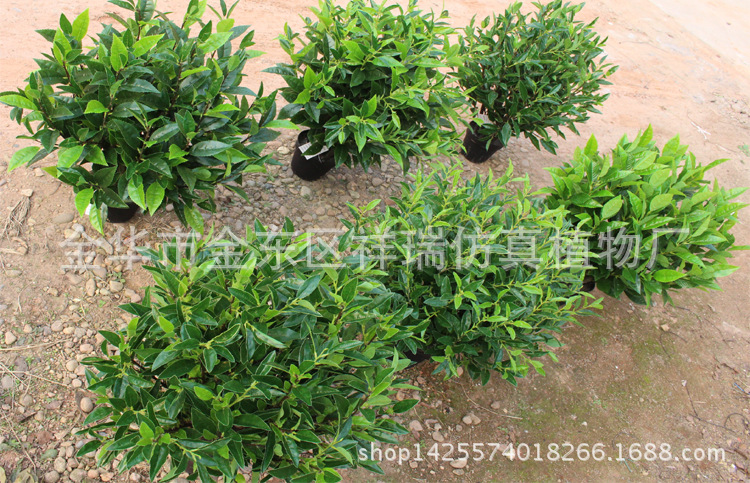 XRS-127-128-129-130-131-133(1