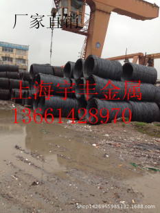 ��������� ɳ�Q195�P�A �վ��߾�  �߾����z��10